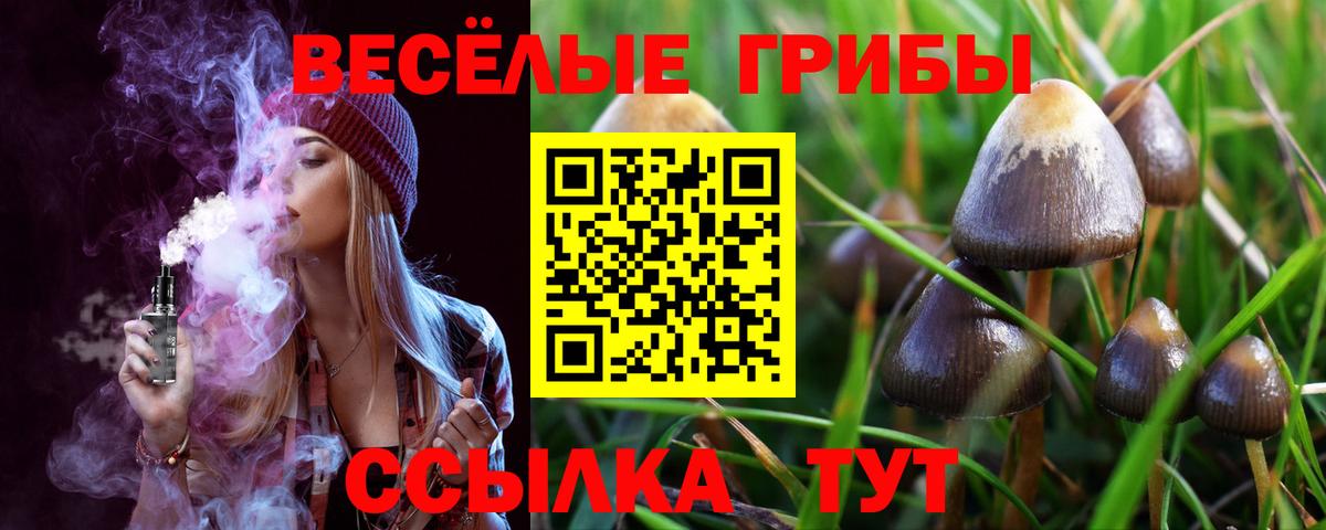 Галлюциногенные грибы Magic Shrooms Сланцы